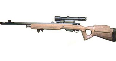 Beretta 501 sniper